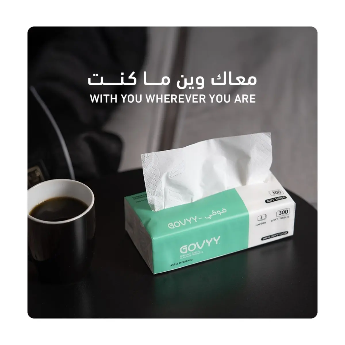 Govyy Facial Tissues 3 ply 10 pcs 100 pulls - view 2